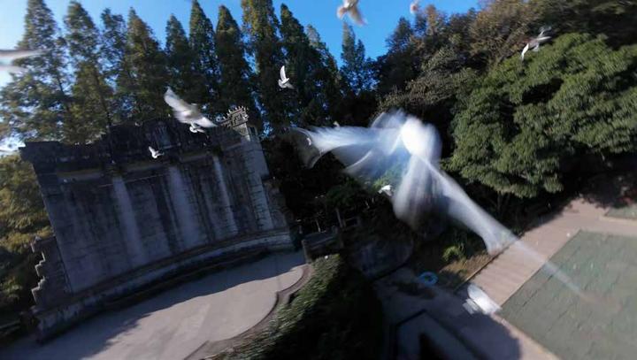 CCTV 央视 画面