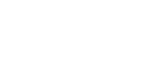 Ford Mustang 野马