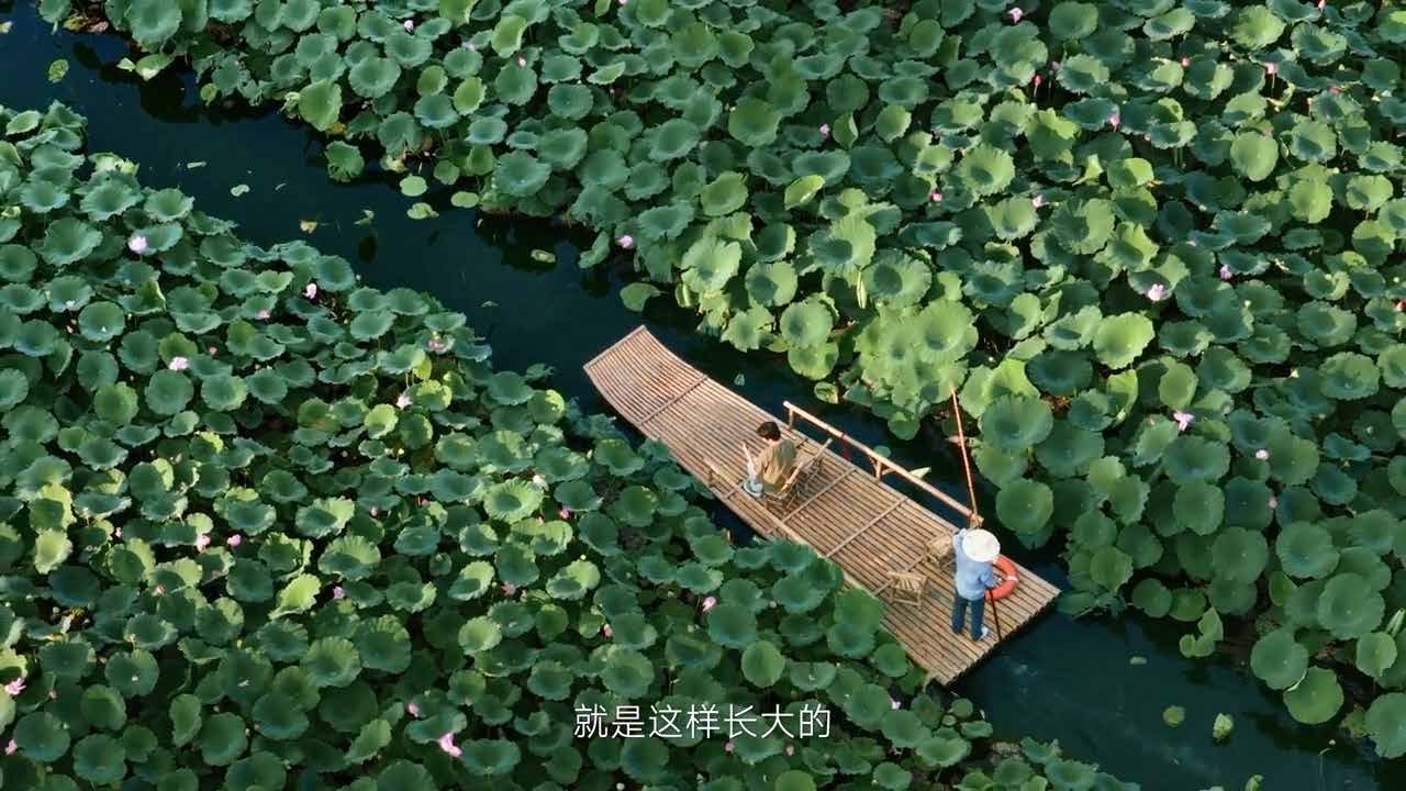 水乡荷塘